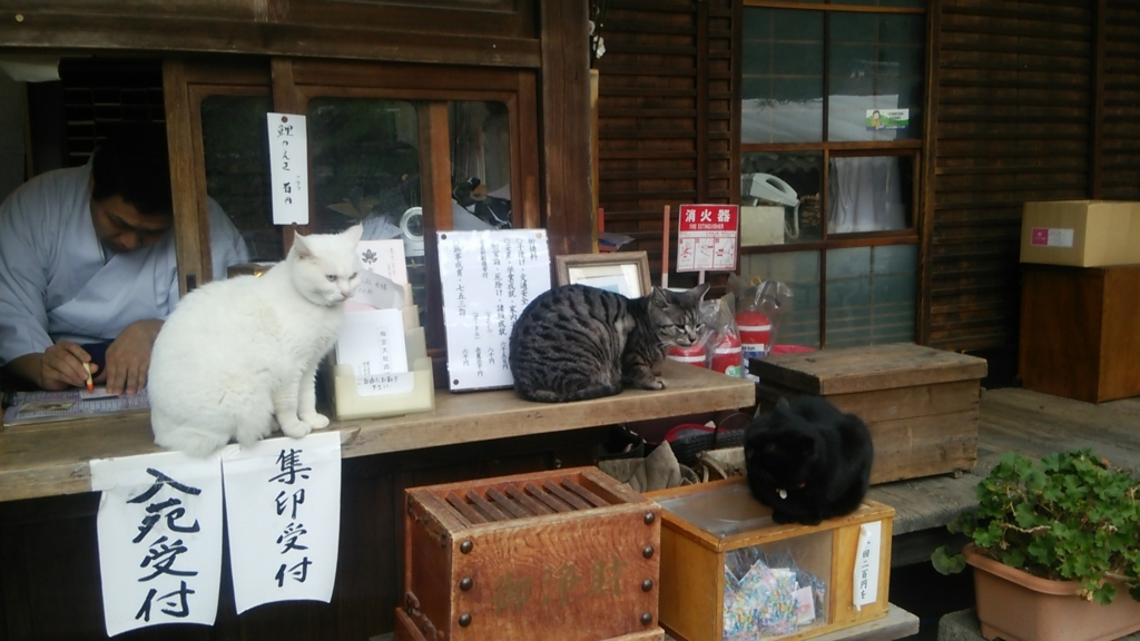 f:id:futarinojikan:20160313164711j:plain f:id:futarinojikan:20160313164711j:plain