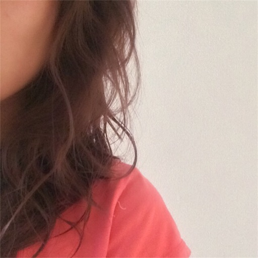 f:id:fuufu2:20160531074900j:image f:id:fuufu2:20160531074900j:image