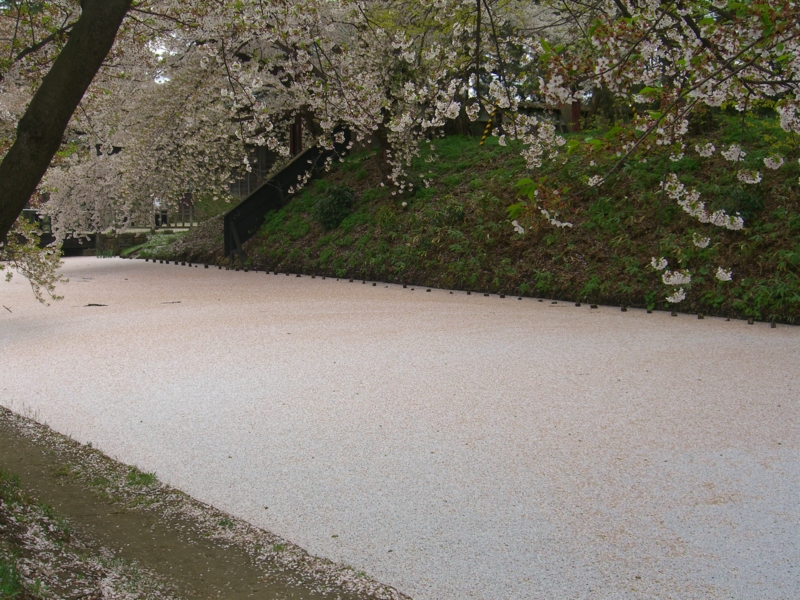 f:id:fuuni:20140502111349j:plain f:id:fuuni:20140502111349j:plain