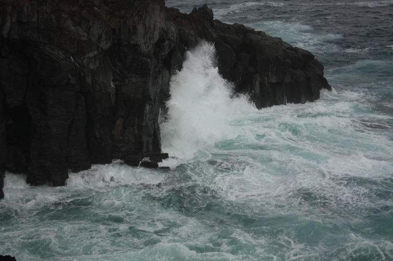 f:id:fuwafu-wanko:20130915153904j:image:w360 f:id:fuwafu-wanko:20130915153904j:image:w360