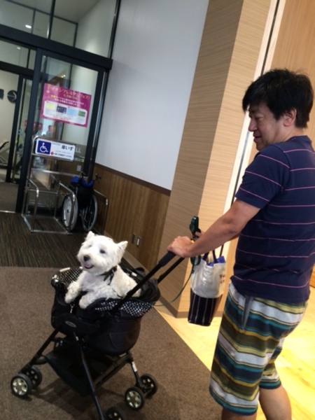 f:id:fuwafu-wanko:20140607150823j:plain f:id:fuwafu-wanko:20140607150823j:plain