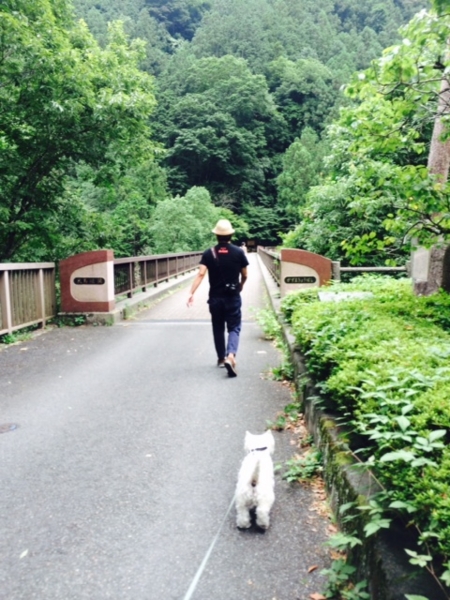 f:id:fuwafu-wanko:20140823120705j:plain f:id:fuwafu-wanko:20140823120705j:plain