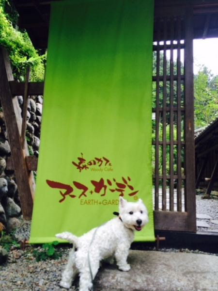 f:id:fuwafu-wanko:20140823121233j:plain f:id:fuwafu-wanko:20140823121233j:plain