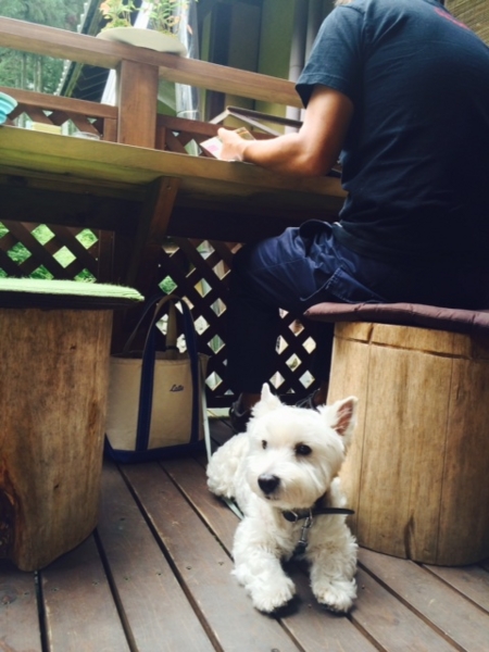 f:id:fuwafu-wanko:20140823124436j:plain f:id:fuwafu-wanko:20140823124436j:plain