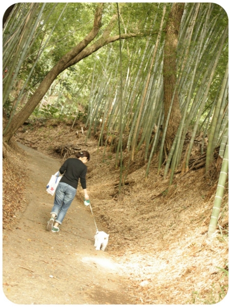 f:id:fuwafu-wanko:20141027133021j:plain f:id:fuwafu-wanko:20141027133021j:plain