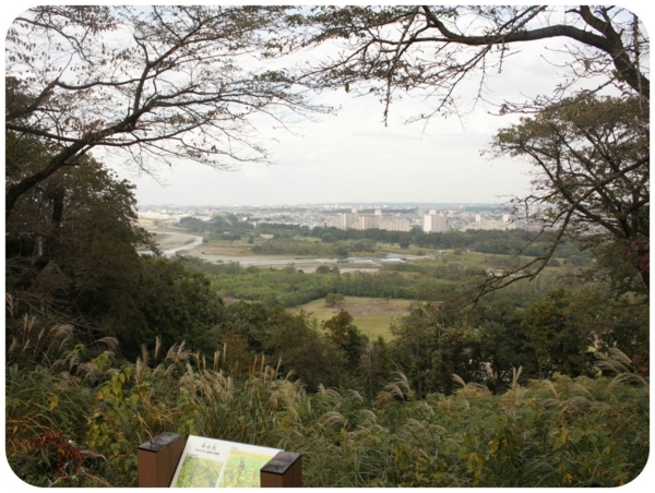 f:id:fuwafu-wanko:20141027133716j:plain f:id:fuwafu-wanko:20141027133716j:plain