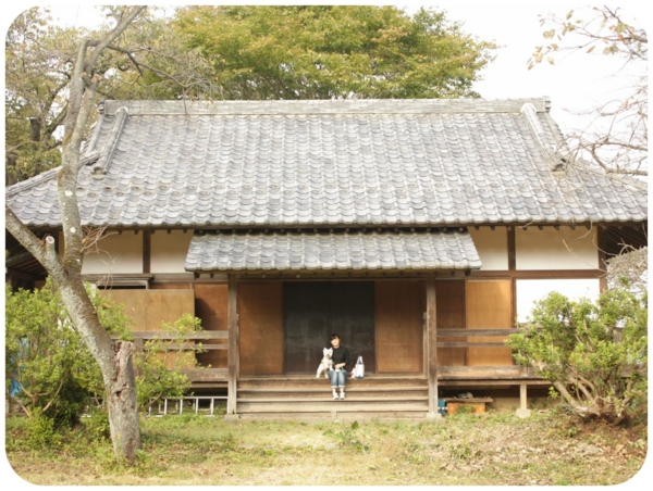 f:id:fuwafu-wanko:20141027134126j:plain f:id:fuwafu-wanko:20141027134126j:plain