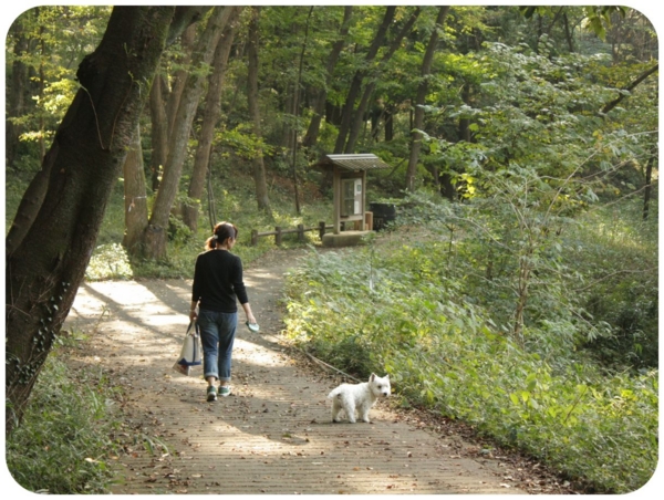 f:id:fuwafu-wanko:20141027134455j:plain f:id:fuwafu-wanko:20141027134455j:plain