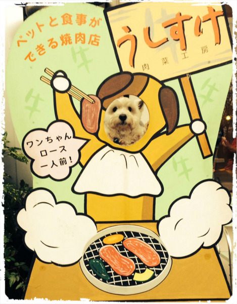 f:id:fuwafu-wanko:20141105154725j:plain f:id:fuwafu-wanko:20141105154725j:plain