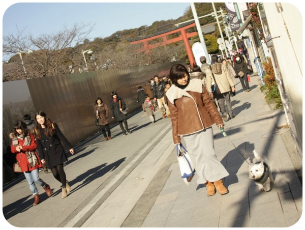 f:id:fuwafu-wanko:20150109132814j:plain f:id:fuwafu-wanko:20150109132814j:plain