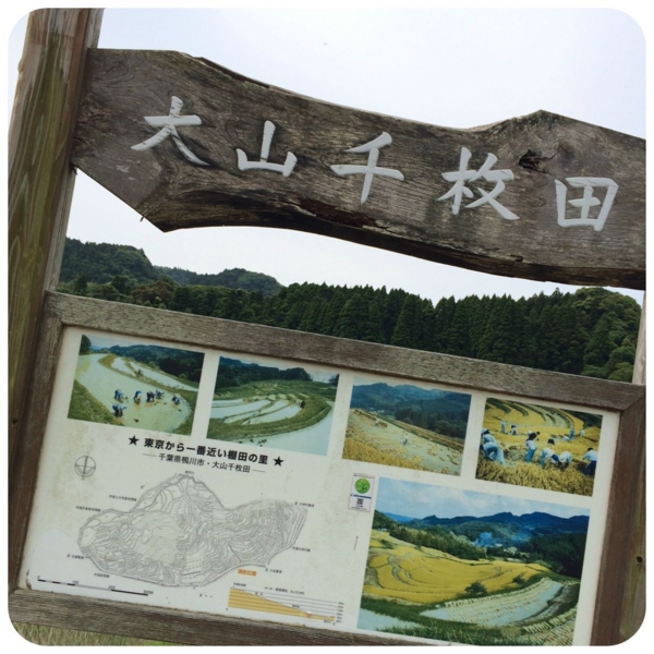 f:id:fuwafu-wanko:20150527191738j:plain f:id:fuwafu-wanko:20150527191738j:plain