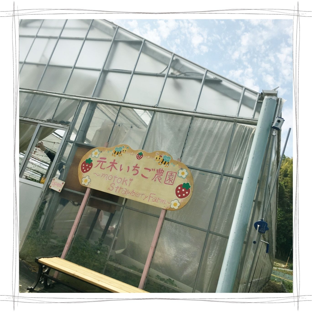 f:id:fuwafu-wanko:20160601132045j:plain f:id:fuwafu-wanko:20160601132045j:plain