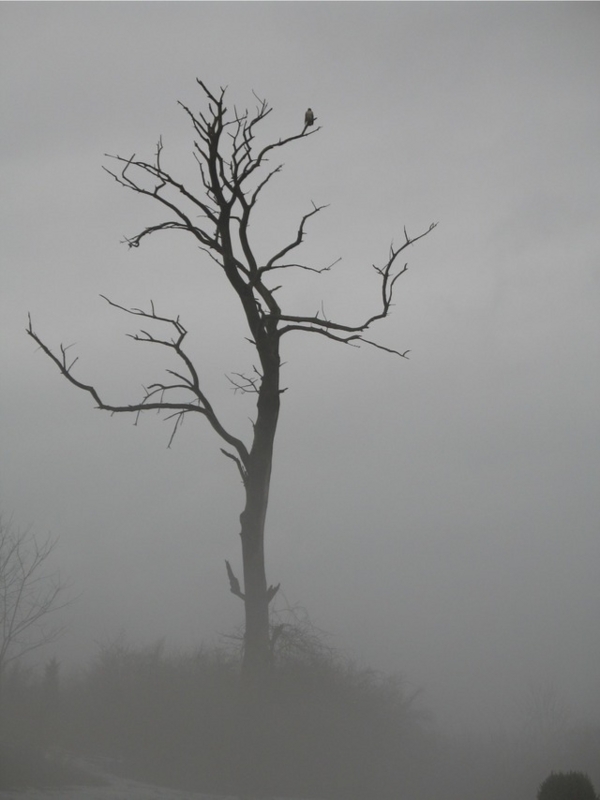 f:id:fuyubossun:20141016150421j:plain f:id:fuyubossun:20141016150421j:plain