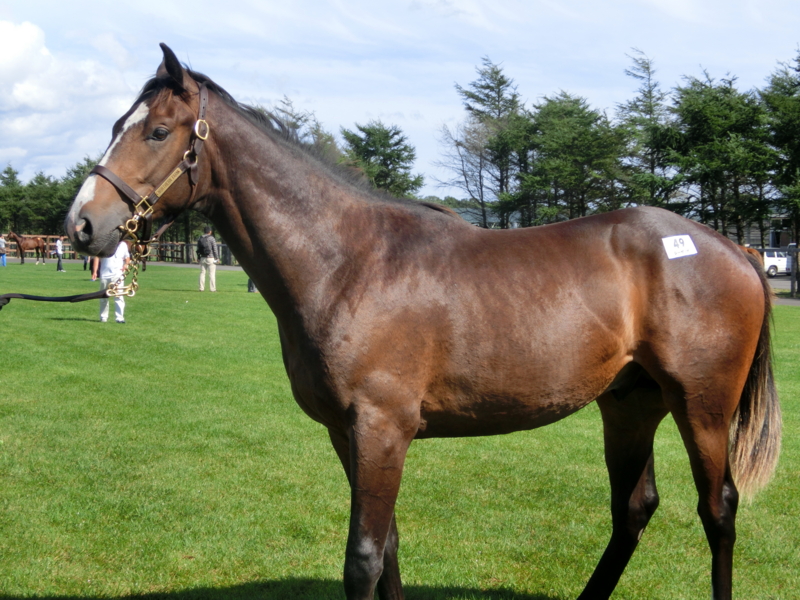 f:id:fuzutata:20130905134459j:plain