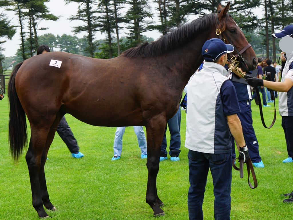 f:id:fuzutata:20150904130614j:plain:w480