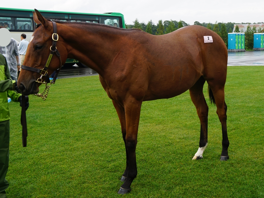 f:id:fuzutata:20150904151438j:plain:w480