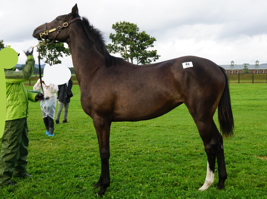 f:id:fuzutata:20150904160148j:plain:w480