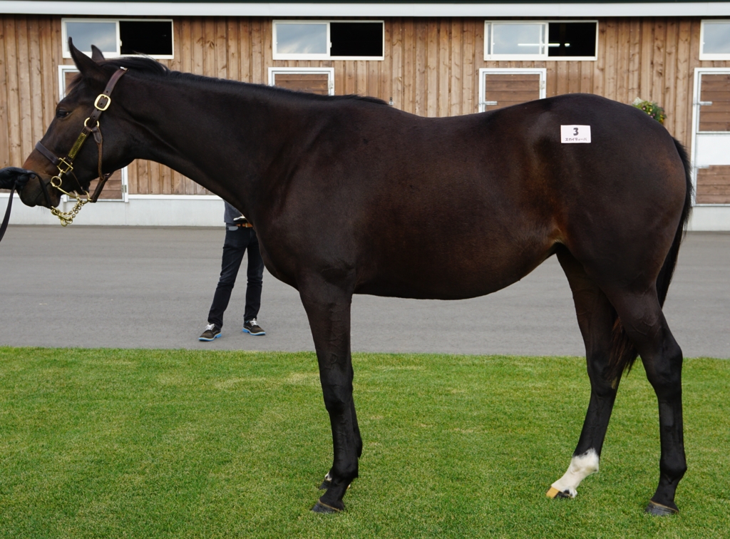 f:id:fuzutata:20150925151457j:plain:w480