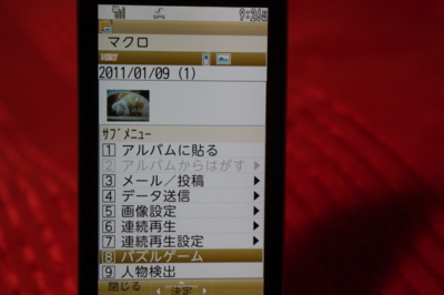 f:id:fyouko:20110114212611j:image