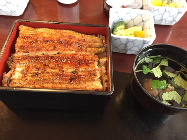 f:id:fyouko:20150325213522j:plain f:id:fyouko:20150325213522j:plain
