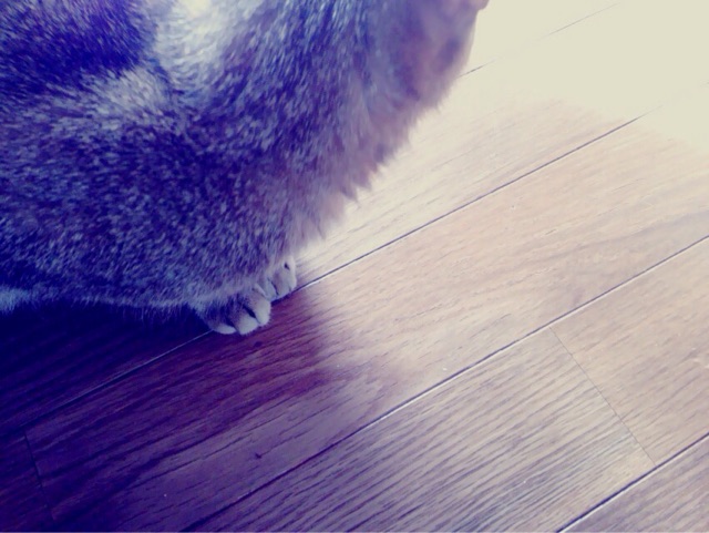 f:id:fysr:20150115063709j:plain f:id:fysr:20150115063709j:plain