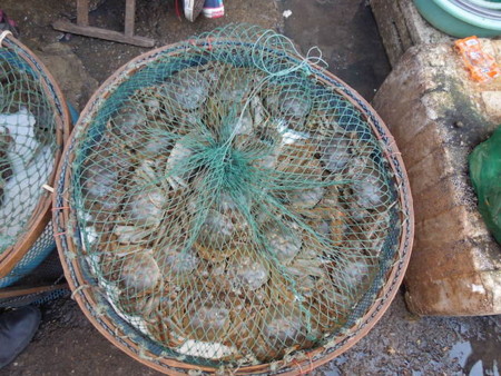 f:id:g-lab:20141018164647j:plain