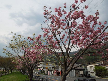 f:id:g-lab:20150428155632j:plain