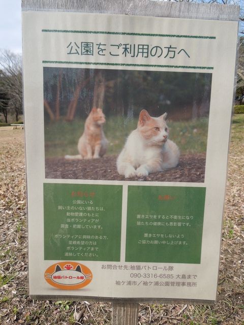 f:id:g-lab:20160301134255j:plain