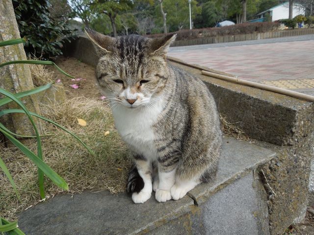 f:id:g-lab:20160301160548j:plain