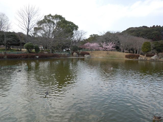 f:id:g-lab:20160301160611j:plain