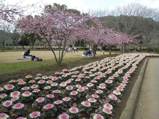 f:id:g-lab:20160301160635j:plain