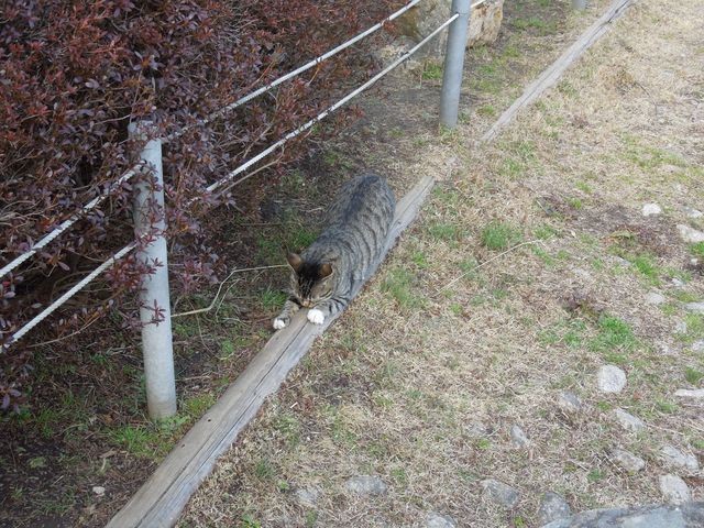 f:id:g-lab:20160301161119j:plain