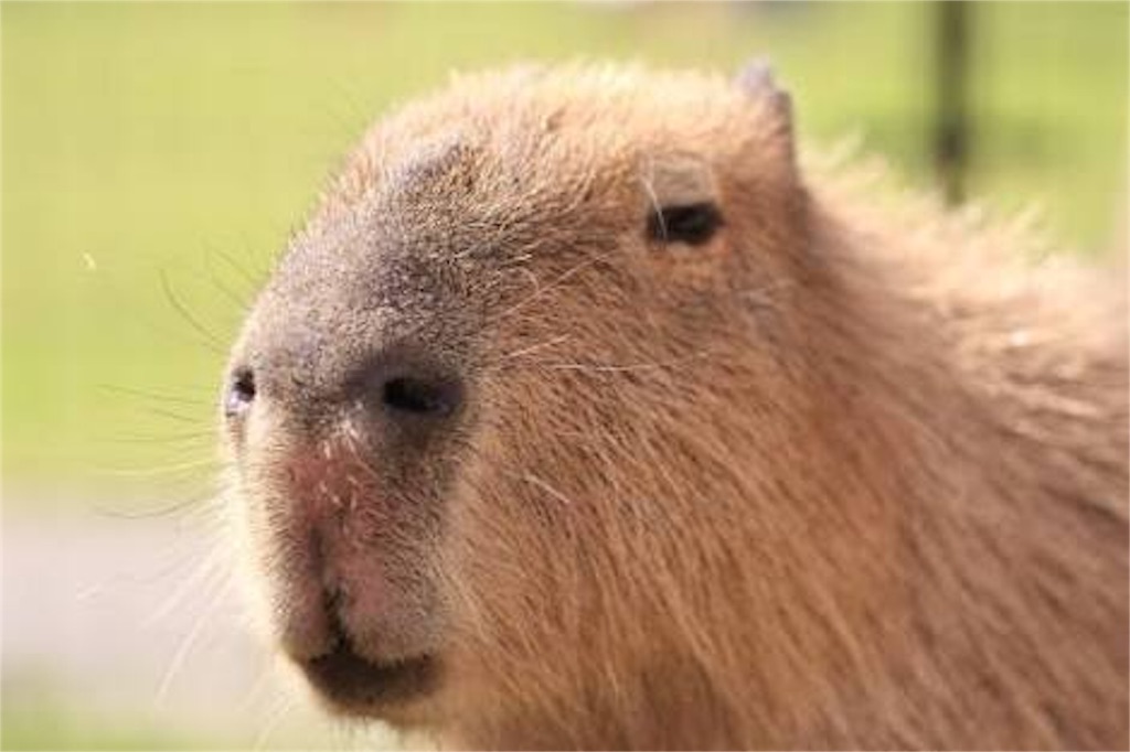 f:id:g913:20160702094325j:image