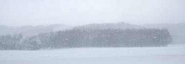 f:id:gaccho_0074:20140324015129j:plain f:id:gaccho_0074:20140324015129j:plain