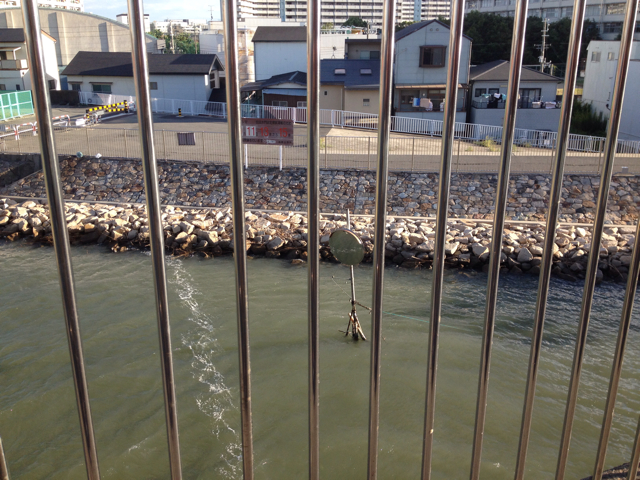 f:id:gachahori:20130927033908j:plain f:id:gachahori:20130927033908j:plain
