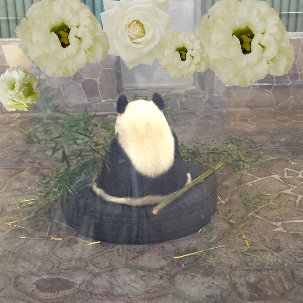 f:id:gagkem0317:20151224134813j:image f:id:gagkem0317:20151224134813j:image
