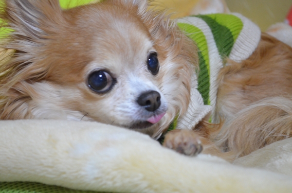 f:id:gaki1989:20141228171555j:plain f:id:gaki1989:20141228171555j:plain