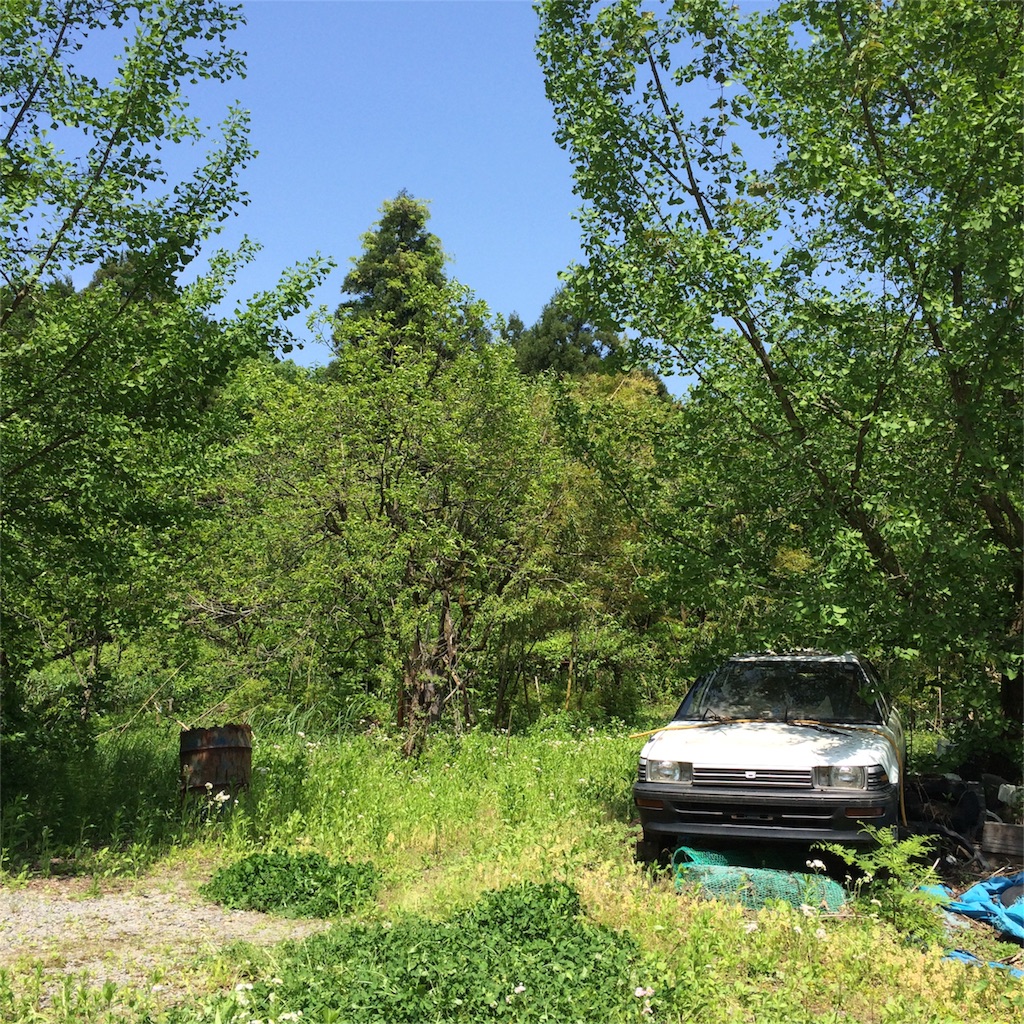 f:id:gakuensai-101:20160514144817j:image f:id:gakuensai-101:20160514144817j:image