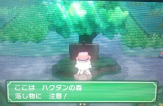 f:id:gamegirllow:20131112144210j:plain f:id:gamegirllow:20131112144210j:plain