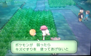 f:id:gamegirllow:20131112144400j:plain f:id:gamegirllow:20131112144400j:plain