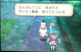 f:id:gamegirllow:20131112144448j:plain f:id:gamegirllow:20131112144448j:plain