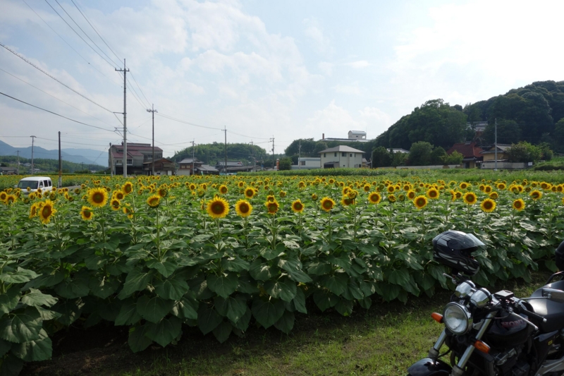 f:id:gan_jiro:20130727145828j:plain