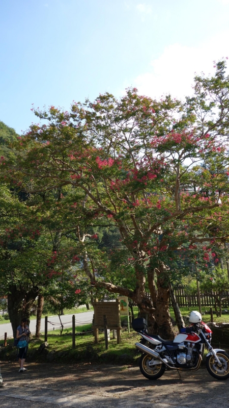 f:id:gan_jiro:20130922123304j:plain