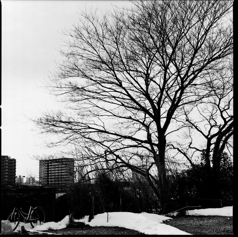 f:id:gangangogo800:20160125133712j:plain