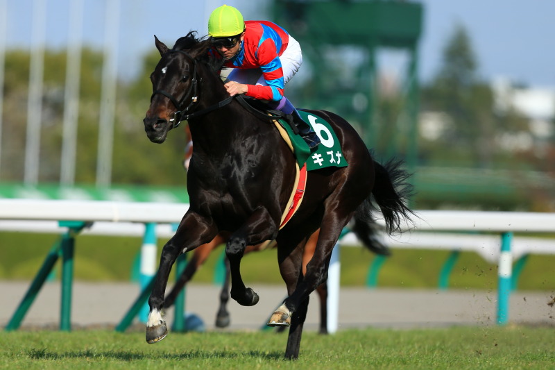 f:id:gangankeiba:20160308172614j:plain f:id:gangankeiba:20160308172614j:plain