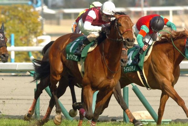 f:id:gangankeiba:20160312085611j:plain f:id:gangankeiba:20160312085611j:plain