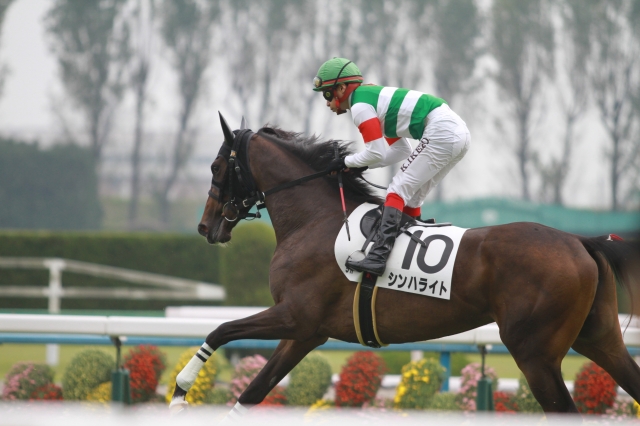 f:id:gangankeiba:20160520150020j:plain f:id:gangankeiba:20160520150020j:plain