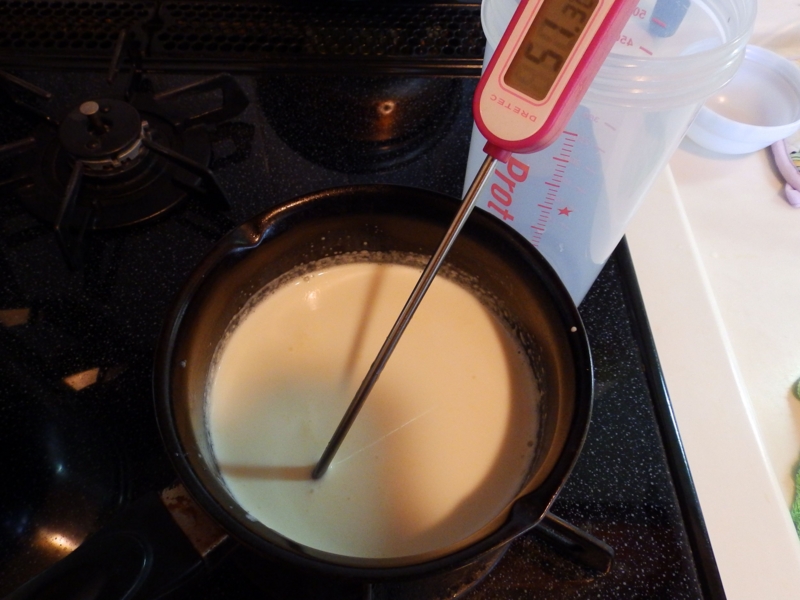 f:id:garadanikki:20140924132406j:plain