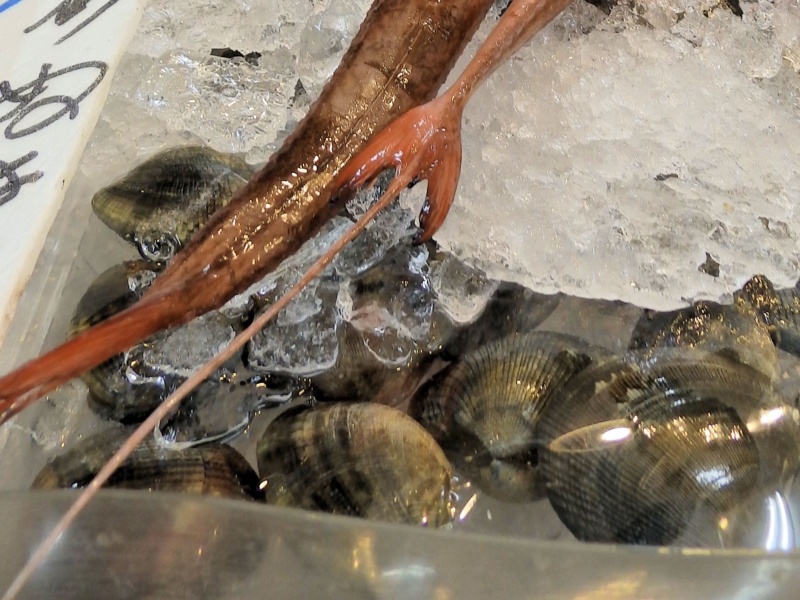 f:id:garadanikki:20141024110120j:plain f:id:garadanikki:20141024110120j:plain