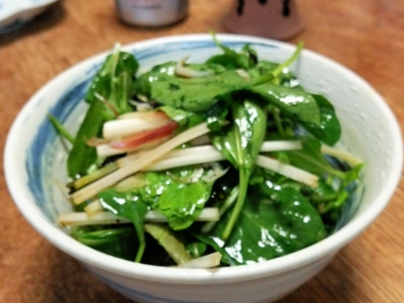 クリックすると大きくなります f:id:garadanikki:20150327105218j:plain